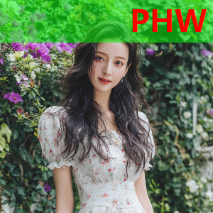 越南谈中越战争：316A师可以随意吃掉中国任何一个主力师，结果如何？