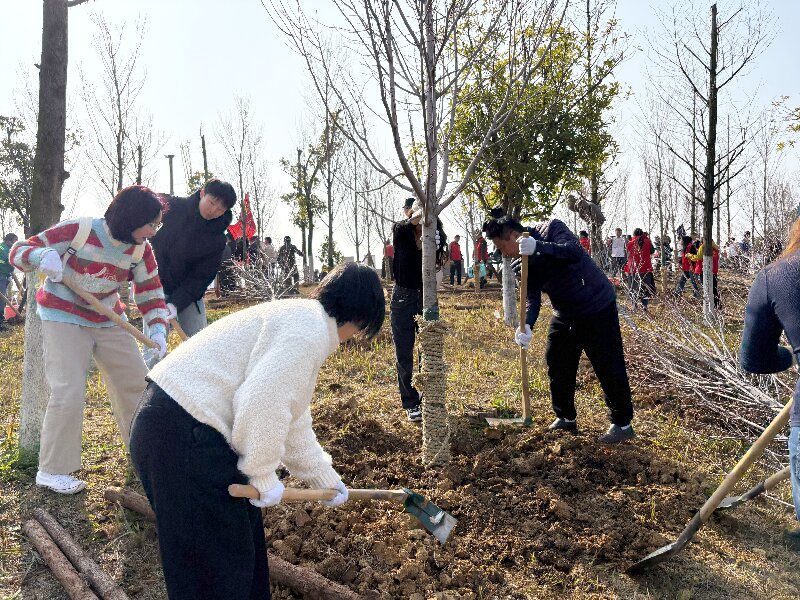 種下一片綠，收獲好心情：多靈磨盤洲的植樹活動