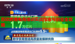 蘇欣跨境電商培訓(xùn)實戰(zhàn)指南與創(chuàng)業(yè)全攻略