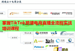 掌握TikTok跨境電商直播全流程實戰(zhàn)培訓(xùn)課程