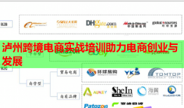 瀘州跨境電商實(shí)戰(zhàn)培訓(xùn)助力電商創(chuàng)業(yè)與發(fā)展