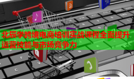 北辰學(xué)跨境電商培訓(xùn)實戰(zhàn)課程全面提升運營技能與市場競爭力