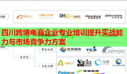 四川跨境電商企業(yè)專業(yè)培訓(xùn)提升實(shí)戰(zhàn)能力與市場競爭力方案