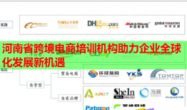 河南省跨境電商培訓(xùn)機構(gòu)助力企業(yè)全球化發(fā)展新機遇