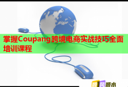 掌握Coupang跨境電商實(shí)戰(zhàn)技巧全面培訓(xùn)課程
