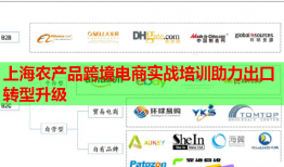 上海農(nóng)產(chǎn)品跨境電商實戰(zhàn)培訓助力出口轉(zhuǎn)型升級