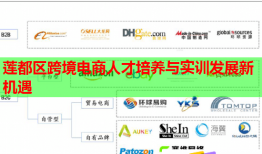 蓮都區(qū)跨境電商人才培養(yǎng)與實訓(xùn)發(fā)展新機遇