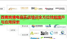 西青跨境電商實戰(zhàn)培訓(xùn)全方位技能提升與應(yīng)用探索