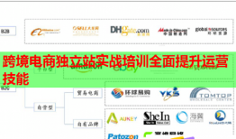 跨境電商獨(dú)立站實(shí)戰(zhàn)培訓(xùn)全面提升運(yùn)營技能