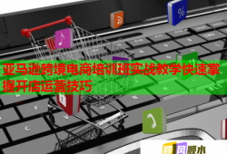 亞馬遜跨境電商培訓(xùn)班實(shí)戰(zhàn)教學(xué)快速掌握開店運(yùn)營技巧