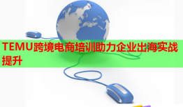 TEMU跨境電商培訓助力企業(yè)出海實戰(zhàn)提升