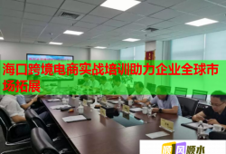 海口跨境電商實(shí)戰(zhàn)培訓(xùn)助力企業(yè)全球市場拓展
