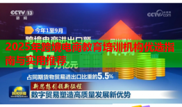 2025年跨境電商教育培訓(xùn)機構(gòu)優(yōu)選指南與實用推薦