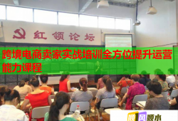跨境電商賣家實(shí)戰(zhàn)培訓(xùn)全方位提升運(yùn)營(yíng)能力課程