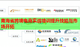 青海省跨境電商實戰(zhàn)培訓(xùn)提升技能與市場開拓