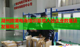湖州跨境電商培訓(xùn)基地入駐企業(yè)數(shù)量及發(fā)展概況