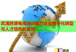 武清跨境電商培訓助力企業(yè)數(shù)字化轉(zhuǎn)型與人才培養(yǎng)新高地
