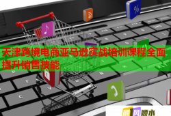 天津跨境電商亞馬遜實戰(zhàn)培訓(xùn)課程全面提升銷售技能