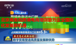 北京商務(wù)局跨境電商培訓(xùn)助力企業(yè)國(guó)際化發(fā)展新機(jī)遇