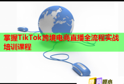 掌握TikTok跨境電商直播全流程實戰(zhàn)培訓(xùn)課程