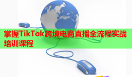 掌握TikTok跨境電商直播全流程實戰(zhàn)培訓(xùn)課程