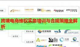 跨境電商維權(quán)實(shí)務(wù)培訓(xùn)與合規(guī)策略全解析