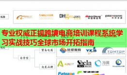 專業(yè)權(quán)威正規(guī)跨境電商培訓(xùn)課程系統(tǒng)學(xué)習(xí)實戰(zhàn)技巧全球市場開拓指南