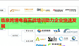 臨泉跨境電商實(shí)戰(zhàn)培訓(xùn)助力企業(yè)快速發(fā)展