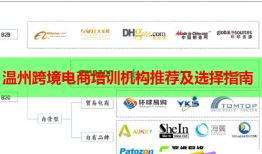 溫州跨境電商培訓(xùn)機(jī)構(gòu)推薦及選擇指南