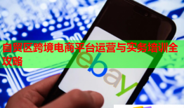 自貿(mào)區(qū)跨境電商平臺運營與實務培訓全攻略