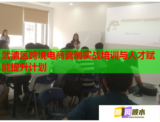 武清區(qū)跨境電商營銷實戰(zhàn)培訓(xùn)與人才賦能提升計劃 武清區(qū)跨境電商營銷實戰(zhàn)培訓(xùn)與人才賦能提升計劃