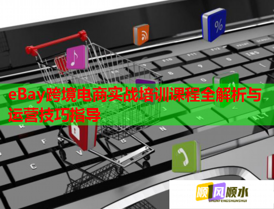 eBay跨境電商實(shí)戰(zhàn)培訓(xùn)課程全解析與運(yùn)營(yíng)技巧指導(dǎo)