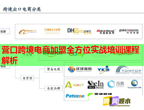 營(yíng)口跨境電商加盟全方位實(shí)戰(zhàn)培訓(xùn)課程解析 營(yíng)口跨境電商加盟全方位實(shí)戰(zhàn)培訓(xùn)課程解析