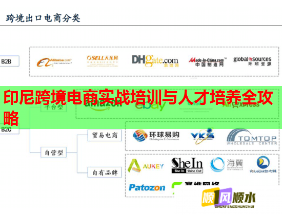 印尼跨境電商實(shí)戰(zhàn)培訓(xùn)與人才培養(yǎng)全攻略 印尼跨境電商實(shí)戰(zhàn)培訓(xùn)與人才培養(yǎng)全攻略