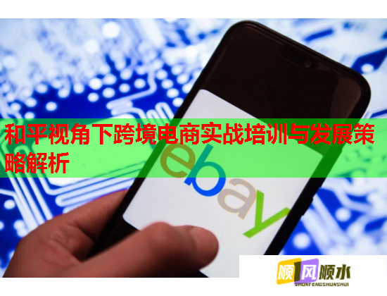 和平視角下跨境電商實戰(zhàn)培訓與發(fā)展策略解析 和平視角下跨境電商實戰(zhàn)培訓與發(fā)展策略解析