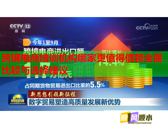 跨境電商培訓(xùn)機(jī)構(gòu)哪家更值得信賴全面比較與選擇建議