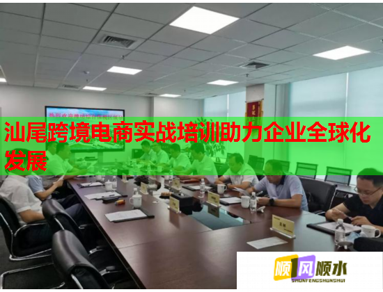 汕尾跨境電商實戰(zhàn)培訓(xùn)助力企業(yè)全球化發(fā)展