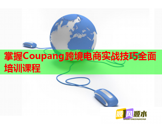 掌握Coupang跨境電商實(shí)戰(zhàn)技巧全面培訓(xùn)課程
