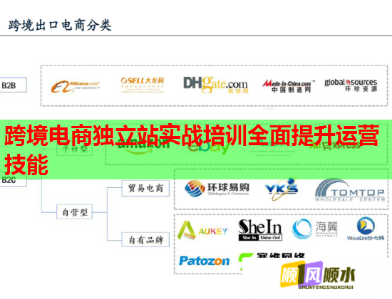 跨境電商獨(dú)立站實(shí)戰(zhàn)培訓(xùn)全面提升運(yùn)營(yíng)技能 跨境電商獨(dú)立站實(shí)戰(zhàn)培訓(xùn)全面提升運(yùn)營(yíng)技能