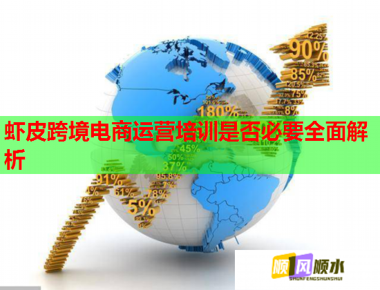 蝦皮跨境電商運(yùn)營(yíng)培訓(xùn)是否必要全面解析 蝦皮跨境電商運(yùn)營(yíng)培訓(xùn)是否必要全面解析