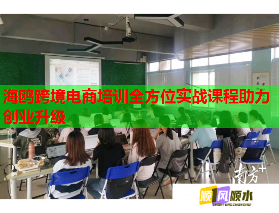 海鷗跨境電商培訓(xùn)全方位實(shí)戰(zhàn)課程助力創(chuàng)業(yè)升級(jí)