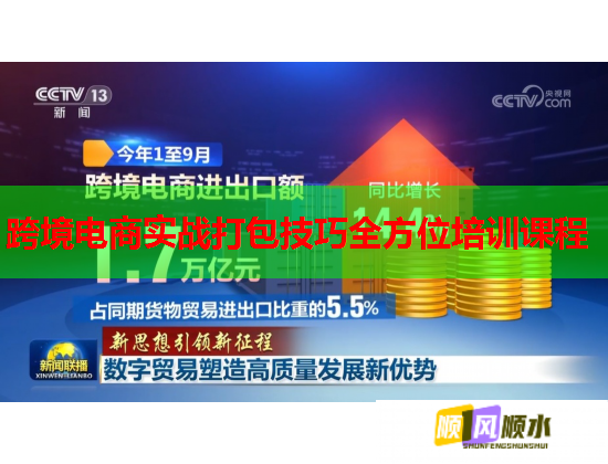 跨境電商實(shí)戰(zhàn)打包技巧全方位培訓(xùn)課程