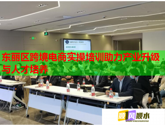 東麗區(qū)跨境電商實(shí)操培訓(xùn)助力產(chǎn)業(yè)升級(jí)與人才培養(yǎng) 東麗區(qū)跨境電商實(shí)操培訓(xùn)助力產(chǎn)業(yè)升級(jí)與人才培養(yǎng)