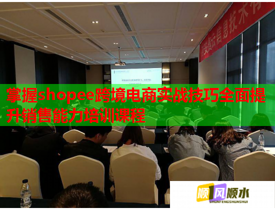 掌握shopee跨境電商實戰(zhàn)技巧全面提升銷售能力培訓(xùn)課程