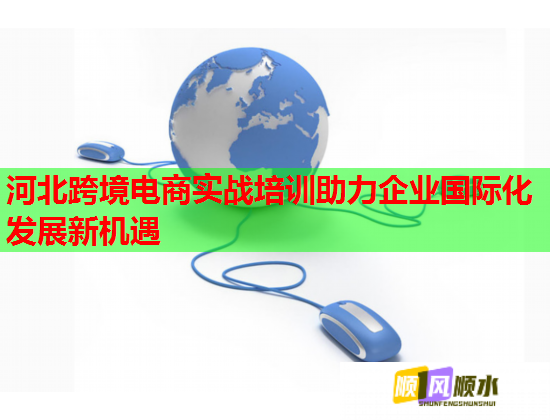 河北跨境電商實戰(zhàn)培訓(xùn)助力企業(yè)國際化發(fā)展新機(jī)遇 河北跨境電商實戰(zhàn)培訓(xùn)助力企業(yè)國際化發(fā)展新機(jī)遇